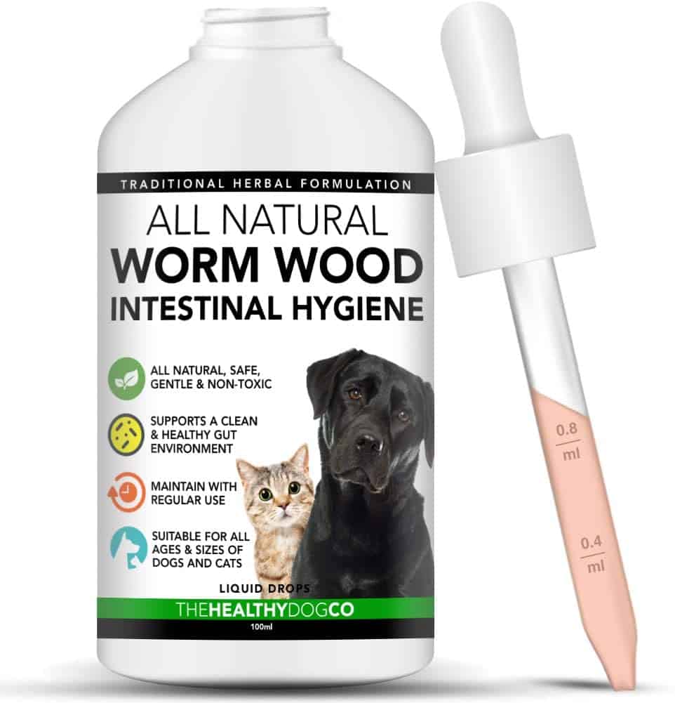 The Best Dog Wormer in UK Our Ultimate Buyers Guide Dog Desires