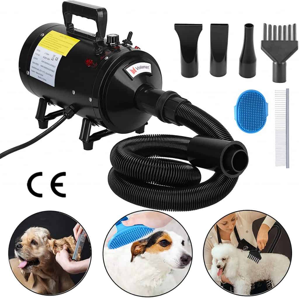 Dog Hair Dryers Our Best Recommendations Dog Desires