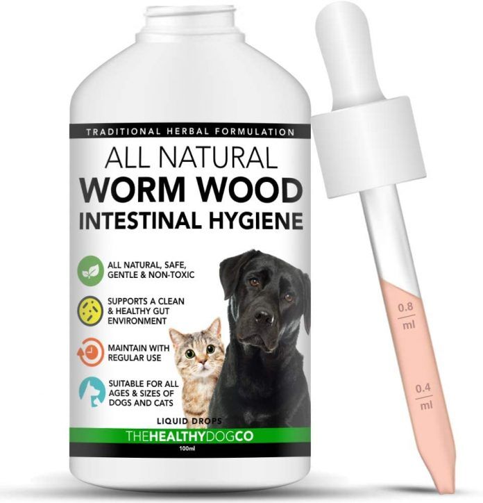 The Best Dog Wormer In Uk - Our Ultimate Buyers Guide - Dog Desires