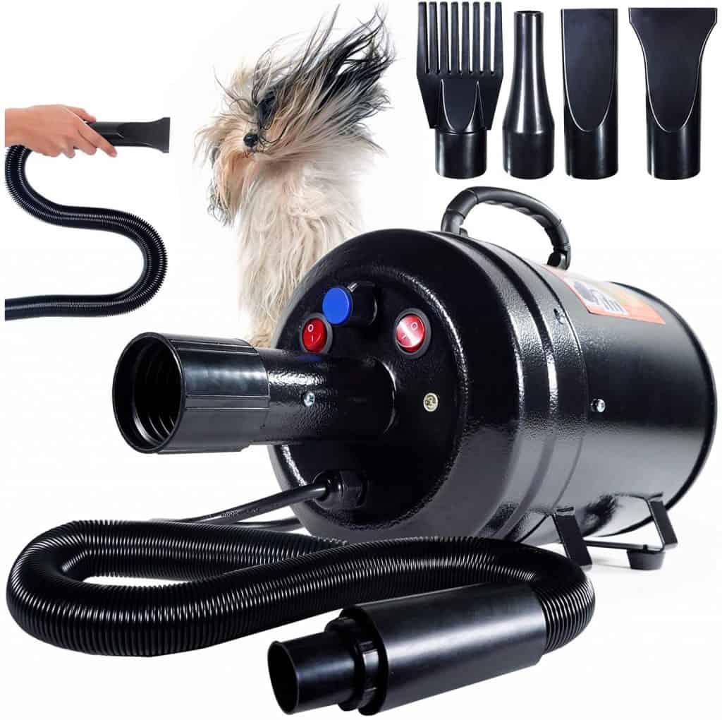 Dog Hair Dryers Our Best Recommendations Dog Desires