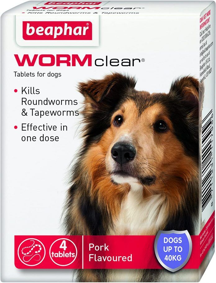 The Best Dog Wormer In UK - Our Ultimate Buyers Guide - Dog Desires